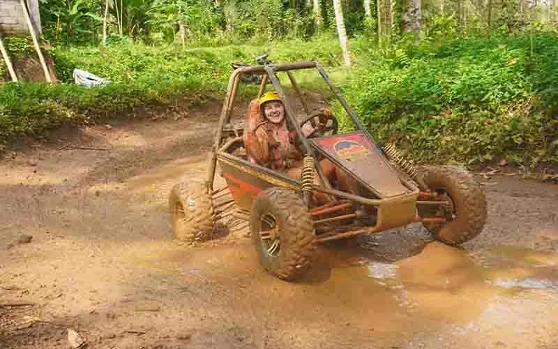 jungle buggy tour jungle buggy tour